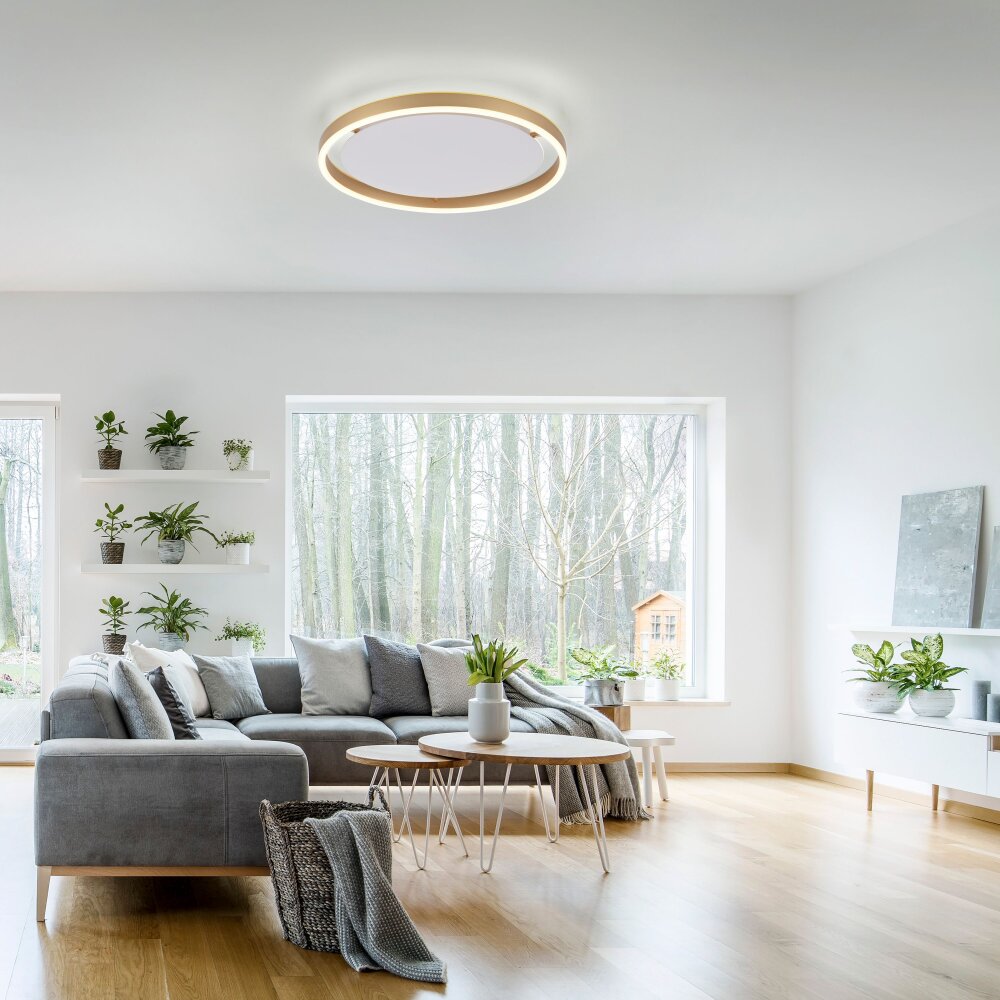 Leuchten-Direkt RITUS Lámpara de Techo LED Latón, 1 luz main product photo