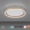Leuchten-Direkt RITUS Lámpara de Techo LED Latón, 1 luz