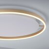 Leuchten-Direkt RITUS Lámpara de Techo LED Latón, 1 luz