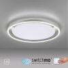 Leuchten-Direkt RITUS Lámpara de Techo LED Aluminio, 1 luz