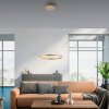 Leuchten-Direkt RITUS Lámpara Colgante LED Latón, 1 luz Leuchten-Direkt RITUS Lámpara Colgante LED Latón, 1 luz