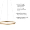 Leuchten-Direkt RITUS Lámpara Colgante LED Latón, 1 luz Leuchten-Direkt RITUS Lámpara Colgante LED Latón, 1 luz