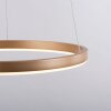 Leuchten-Direkt RITUS Lámpara Colgante LED Latón, 1 luz Leuchten-Direkt RITUS Lámpara Colgante LED Latón, 1 luz