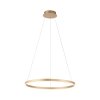 Leuchten-Direkt RITUS Lámpara Colgante LED Latón, 1 luz