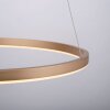 Leuchten-Direkt RITUS Lámpara Colgante LED Latón, 1 luz