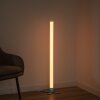 Leuchten-Direkt RINGO Lámpara de Pie LED Plata, 1 luz, Mando a distancia, Cambia de color