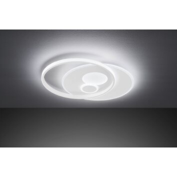 Wofi AKON Lámpara de Techo LED Blanca, 3 luces, Mando a distancia