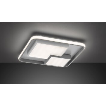 Wofi FELA Lámpara de Techo LED Gris, Blanca, 3 luces