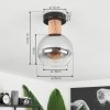 Vouhet Lámpara de Techo Transparente, Ahumado, 1 luz
