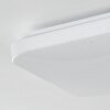 Melres Lámpara de Techo LED Blanca, 1 luz