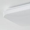 Melres Lámpara de Techo LED Blanca, 1 luz