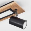 Sequeira Lámpara de Techo LED Color madera, Negro, Blanca, 3 luces