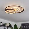 Agordela Lámpara de Techo LED dorado, Blanca, 1 luz