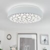 Agodim Lámpara de Techo LED Blanca, 1 luz