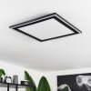 Audrieu Lámpara de Techo LED Negro, 2 luces