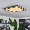 Audrieu Lámpara de Techo LED Negro, 2 luces