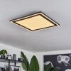 Audrieu Lámpara de Techo LED Negro, 2 luces