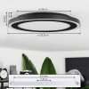 Audrieu Lámpara de Techo LED Negro, 2 luces