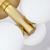 Cebola Lámpara de Techo dorado, 3 luces