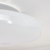 Ral Lámpara de Techo LED Plata, Blanca, 1 luz, Mando a distancia, Cambia de color
