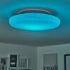 Ral Lámpara de Techo LED Plata, Blanca, 1 luz, Mando a distancia, Cambia de color