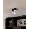 Eglo CARDILLIO Lámpara de Techo LED Negro, 2 luces