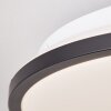Brilliant Heida Lámpara de Techo LED Negro, Blanca, 1 luz, Mando a distancia, Cambia de color