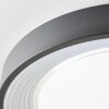 Brilliant Florella Lámpara de Techo LED Negro, Blanca, 1 luz, Mando a distancia, Cambia de color