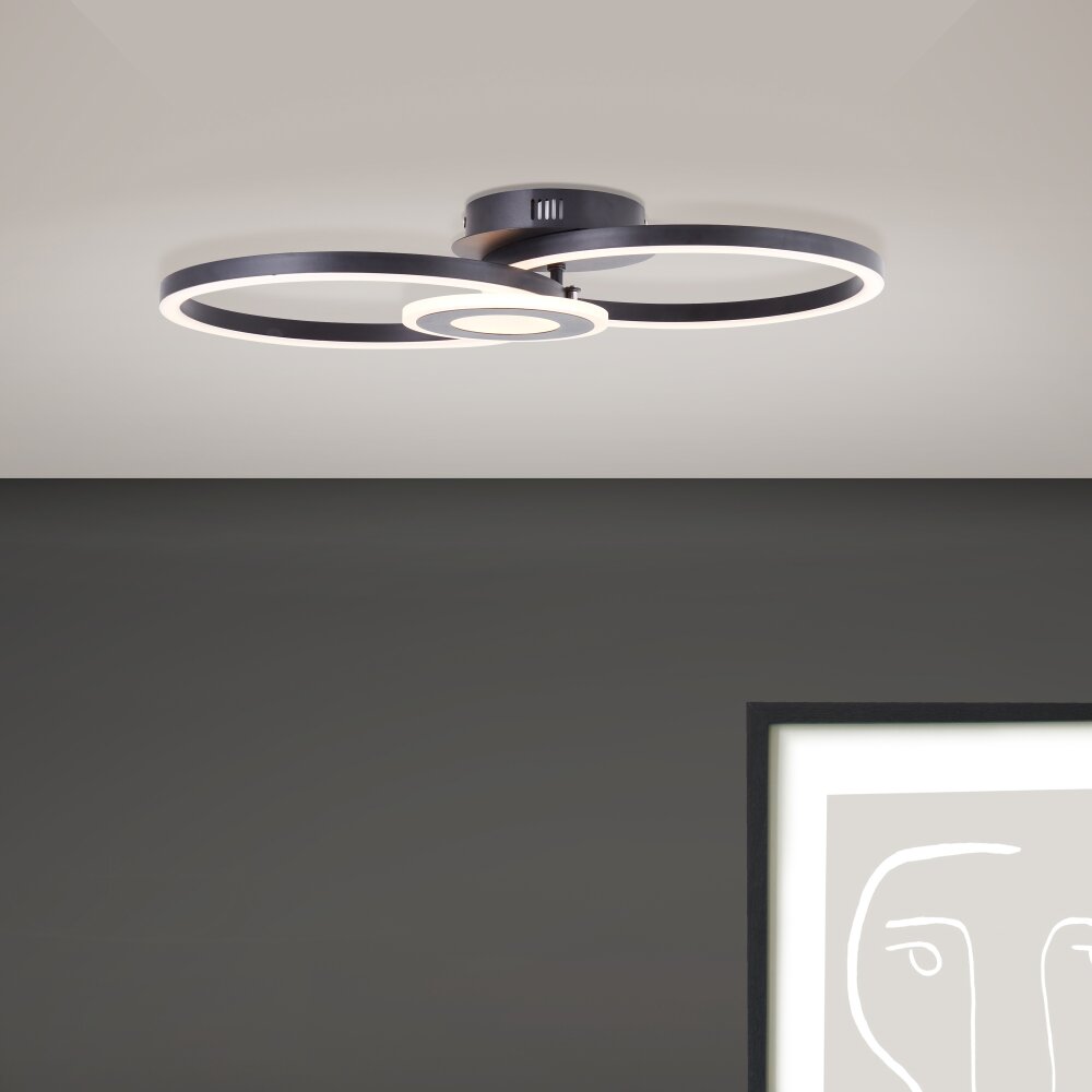 Brilliant Bray Lámpara de Techo LED Negro, Blanca, 1 luz main product photo