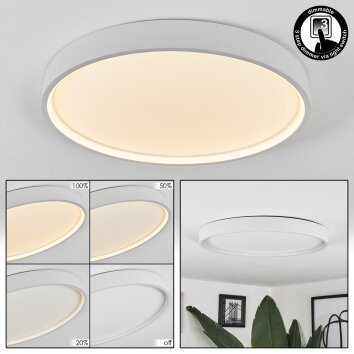 Formigosa Lámpara de Techo LED Blanca, 1 luz