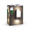 Philips Hue White Fuzo Aplique para exterior LED Negro, 1 luz