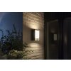 Philips Hue White Fuzo Aplique para exterior LED Negro, 1 luz