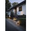 Philips Hue White Fuzo Aplique para exterior LED Negro, 1 luz