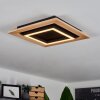 Tojeirinha Lámpara de Techo LED Madera clara, Negro, 1 luz, Mando a distancia