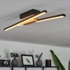 Meiral Lámpara de Techo LED Madera clara, Negro, 2 luces