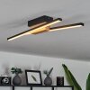 Meiral Lámpara de Techo LED Madera clara, Negro, 2 luces