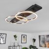 Pompu Lámpara de Techo LED Negro, 2 luces