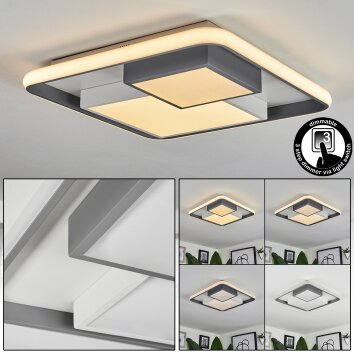 Casqueira Lámpara de Techo LED Gris, Blanca, 1 luz
