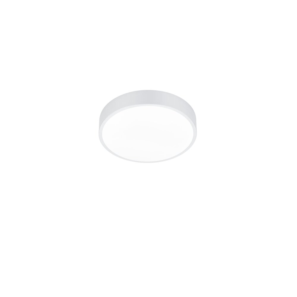 Trio Waco Lámpara de Techo LED Blanca, 1 luz main product photo