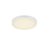Trio Waco Lámpara de Techo LED Blanca, 1 luz