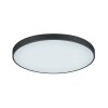 Trio Waco Lámpara de Techo LED Negro, 2 luces