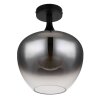 Globo MAXY Lámpara de Techo Negro, 1 luz