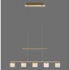 Paul Neuhaus HYDRA Lámpara Colgante LED Latón, 5 luces