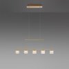Paul Neuhaus HYDRA Lámpara Colgante LED Latón, 5 luces