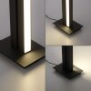 Paul Neuhaus PURE-LINES Lámpara de Pie LED Antracita, 1 luz, Mando a distancia