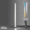 Paul Neuhaus PURE-LINES Lámpara de Pie LED Aluminio, 1 luz, Mando a distancia
