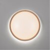 Paul Neuhaus Q-EMILIA Lámpara de Techo LED Gris, Color madera, 1 luz, Mando a distancia