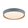 Paul Neuhaus Q-EMILIA Lámpara de Techo LED Gris, Color madera, 1 luz, Mando a distancia
