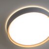 Paul Neuhaus Q-EMILIA Lámpara de Techo LED Gris, Color madera, 1 luz, Mando a distancia