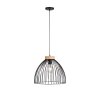 Leuchten-Direkt LAMI Lámpara Colgante Negro, 1 luz